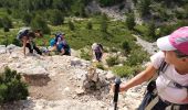 Tocht Stappen Marseille - Mt Puget vallon Mestrallet  - Photo 13