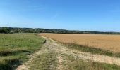 Tour Wandern Modave - Modave 10 km - Photo 1