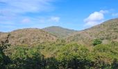Tour Wandern Rivière-Salée - Rivière Salée - Les Trois-Ilets - Le Défi 2025 - Photo 3