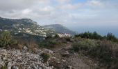 Tocht Stappen Èze - Eze - Photo 13