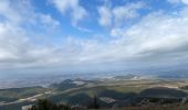 Trail Walking Sablet - Les crêtes de saint Amant  - Photo 11