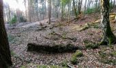 Tour Zu Fuß Waldems - Rundweg Idstein Lauskippel - Nollen - Photo 1