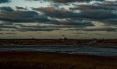 Trail On foot Texel - De Geul - Photo 3