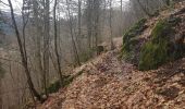 Trail Walking Ban-de-Laveline - 2022-02-18 Ban de Laveline - tête violu - gr531 - col du pré raves - Photo 3