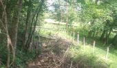 Tocht Mountainbike Port-sur-Saône - VTT Montigny les Vesoul - Photo 4