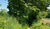 Trail Walking Braine-le-Comte - GRP127 : De Hennuyères à Nivelles - Photo 13