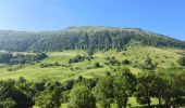 Trail Walking Lavigerie - la Gravière/ brèche de Roland Peyre arse - Photo 12