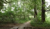 Excursión A pie Úvaly - Přírodní park Škvorecká obora – Králičina - Photo 4