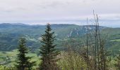 Randonnée Marche Villard-de-Lans - La moliere - col d'herbouilly - pot du loup - crête - Photo 16