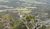 Trail Walking Sorbiers - Balade chapelle st-honora - Photo 3