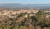 Percorso Marcia Roquebrune-sur-Argens - Les 25 ponts-Roquebrune sur Argens-28-01-22 - Photo 2