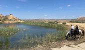 Trail Horseback riding Bardenas Reales de Navarra - Bardenas jour 4 - Photo 11