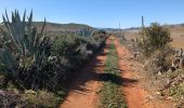 Tour Wandern Níjar - Los Albaricoques 1 - Photo 2