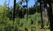 Tour Wandern Verviers - aqueduc-bois de Hèvremont-gileppe-cossart - Photo 10