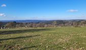 Tour Wandern Dreibrücken - Logbierme 280223 - Photo 10