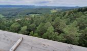 Tour Wandern Drachenbronn-Birlenbach - chemin des cimes, drachenbronn - Photo 1