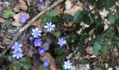 Tour Wandern Corneilla-de-Conflent - Un petit tour vers les tours - Photo 4