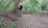 Trail Walking Le Vauclin - Boucle Macabou via Morne Flambeau - Photo 17