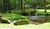 Trail Mountain bike Saint-Michel - Rando VTT des Verts de Terre 2018 - 70KM : 1200m - Photo 2