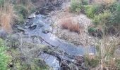 Tocht Stappen Malmedy - cascade du bayon  - rando malmedy 1 - Bambi rouge  - Photo 13