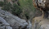 Randonnée Marche Estoublon - estoublon sentier des oliviers gorges trevans 21k 950m  - Photo 1