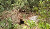 Excursión Senderismo Signes - Le jas de Marquant la Limate - Photo 1