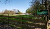 Trail Walking Court-Saint-Étienne - Promenade 3 de Franquenies - Photo 20