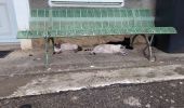 Tocht Stappen Livron - tour au bois avec 3 chats 10042021 - Photo 1