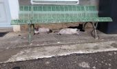 Percorso Marcia Livron - tour au bois avec 3 chats 10042021 - Photo 1