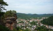 Excursión A pie Hauenstein - Hauensteiner Nr. 5/Westseite - Photo 3