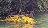 Tour Zu Fuß Soisy-sur-Seine - Boucle Soisy / Seine / Sénart  - Photo 5