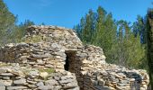 Tour Wandern Saze - 2024-03-13 les capitelles de Saze - Photo 15