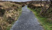 Trail Walking Conamara Municipal District - Connemara national park - Photo 1