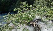 Tocht Stappen Saint-Gervais-les-Bains - Gorges de la Gruvaz 8.7.22 - Photo 1