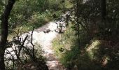 Tour Wandern Saou - Chapelle Saint-Médard à partir des Sables Blanc - Photo 17