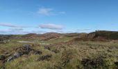 Tocht Te voet West Cork - An Gleann Loop - Photo 2