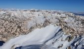 Excursión Esquí de fondo Névache - pointe de la cassie  - Photo 4