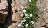 Tocht Stappen Asco - Asco la bergerie de vallonne - Photo 2