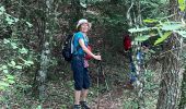 Trail Walking Plan-d'Aups-Sainte-Baume - Plan d’aups ste beaume - Photo 5