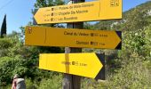 Trail Walking Quinson - Quinson Verdon 13 km - Photo 13