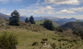 Tocht Stappen Le Castellard-Mélan - AUTHON FONTBELLE   , COL D AINAC  o l  - Photo 6