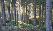 Excursión Senderismo Stoumont - A la découverte du ruisseau du Roannay et le village de Moulin du Ruy - Photo 9