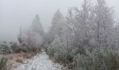 Tocht Stappen Theux - dans le givre de Crambon  - Photo 15