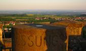 Tour Zu Fuß Waldbrunn - Katzenpfad - Photo 5