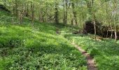 Tour Zu Fuß Jossgrund - Junge Jossa Lettgenbrunn ( Spessartfährten ) - Photo 3