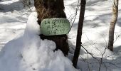 Tocht Sneeuwschoenen Morbier - Les Marais 20210321 - Photo 2