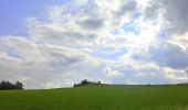 Tour Zu Fuß Kemnath - Waldeck Rundweg 