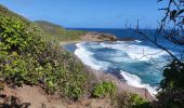 Tour Wandern La Trinité - Presqu'île de la caravelle  - Photo 5