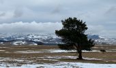 Trail Walking Besse-et-Saint-Anastaise - Champs Besse - Photo 1