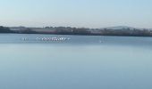 Tocht Stappen Villeneuve-lès-Maguelone - Les salines de Villeneuve - Photo 4